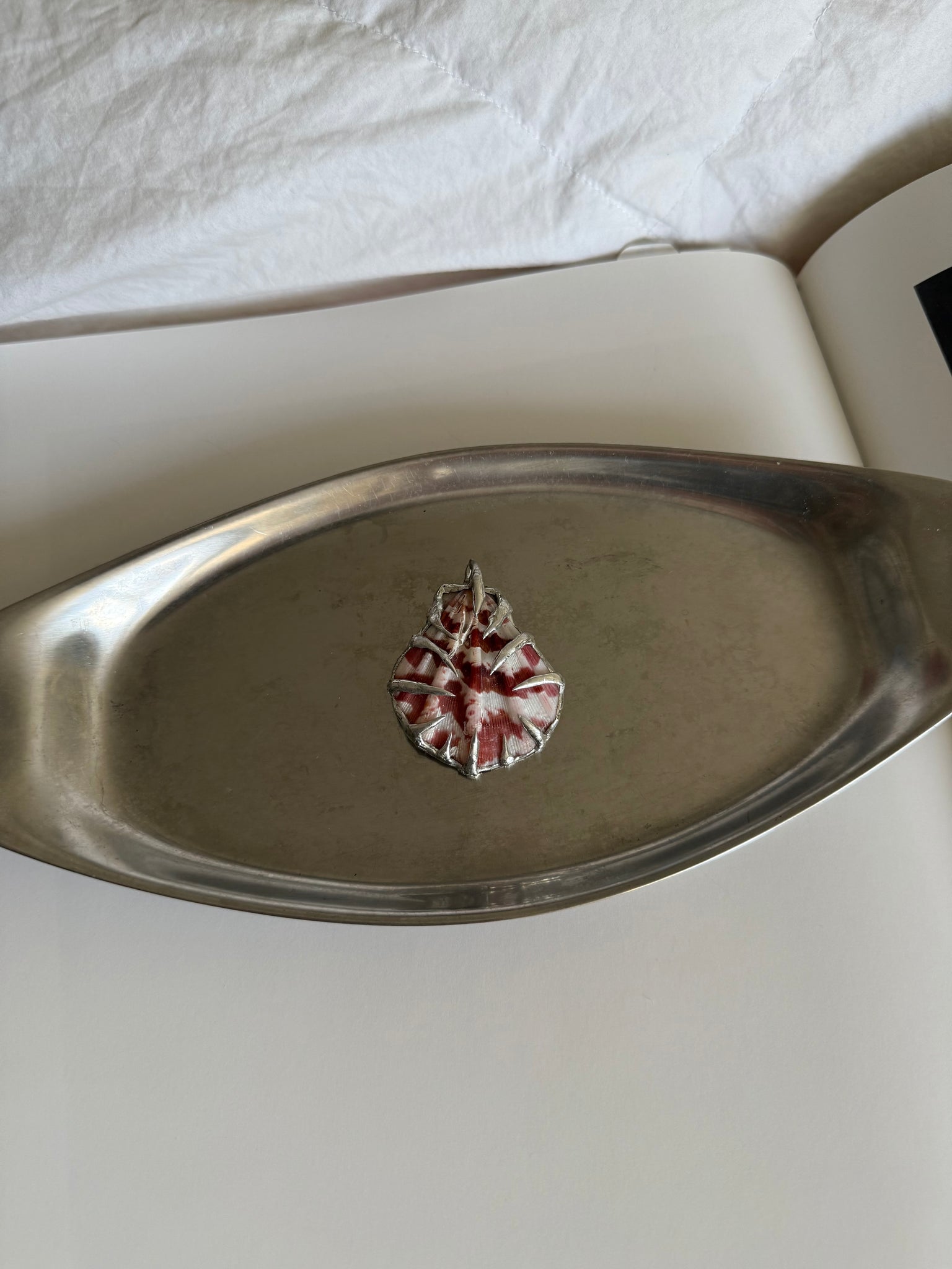 „roja“ seashell charm  - Monoklin